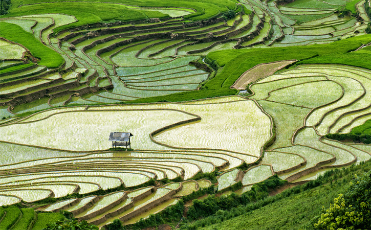 Vietnam